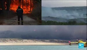 Multiplication des incendies en Europe : des feux toujours plus nombreux et plus précoces