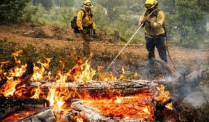 Le mégafeu "Oak Fire" continue son avancée en Californie