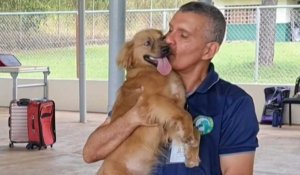 Au Panama, une chienne sauvée après 40 jours passés dans un conteneur