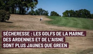 Sécheresse : les golfs de la Marne, des Ardennes et de l'Aisne sont plus jaunes que green