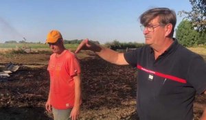 Roquetoire: un champ de lin de 15 hectares menacé par le feu d’un cabanon a été sauvé