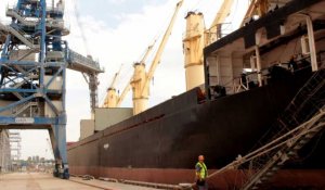 Exportations de céréales : un premier navire de l'ONU prêt à partir d'Ukraine