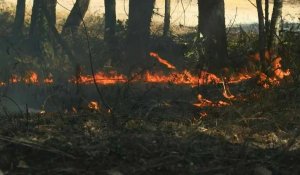 Incendie à Brocéliande: les pompiers à pied d'œuvre dans la forêt de Paimpont