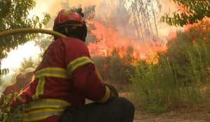 Incendies: le Portugal peine à venir à bout du feu dans un parc naturel