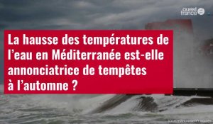 VIDÉO. La hausse des températures de l’eau en Méditerranée est-elle annonciatrice de tempêtes à l'automne ?
