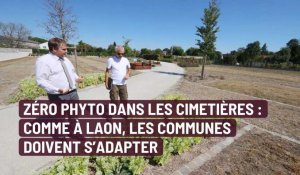 Zéro phyto dans les cimetières : les communes doivent s’adapter, comme à Laon