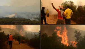 Maroc : des pompiers luttent contre un violent feu de forêt dans la région de Larache