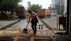 L’espoir européen d’un accord entre la Russie et l’Ukraine sur les exportations de céréales