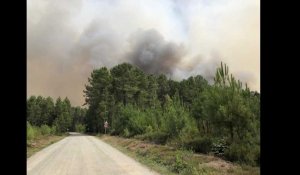 VIDÉO.  Feux de forêt en Sarthe : d'impressionnantes fumées entre Mulsanne et Ruaudin 
