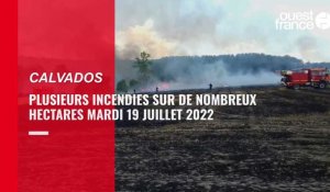 VIDÉO. Plusieurs incendies sur plusieurs hectares dans le Calvados mardi 19 juillet 2022