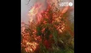 VIDÉO. À Commana, près de 10 hectares ont brûlé