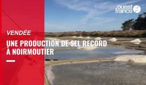 VIDÉO. En Vendée, une production de sel record à Noirmoutier