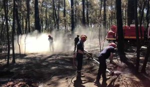 VIDÉO. Retour sur le spectaculaire incendie qui a ravagé 7 ha﻿ de forêt au sud du Mans