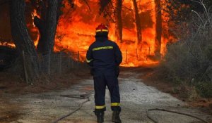 Soumise à des chaleurs extrêmes et au manque de pluie, l'Europe fait face à d'immenses incendies