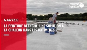 VIDEO. ENERCOOL, cette nouvelle peinture blanche sur les toits réduit la température