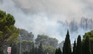 Aude : l'impressionnant panache de fumées dégagé par l'incendie de l'Alaric