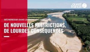 Dans le Maine-et-Loire, la sécheresse impacte le tourisme, les agriculteurs et particuliers