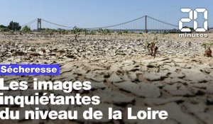 Sécheresse : La Loire si basse qu’elle se traverse à pied par endroits