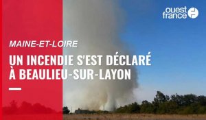 VIDÉO. Maine-et-Loire. Un incendie s'est déclaré dans la commune de Beaulieu-sur-Layon