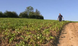 Sécheresse : L'irrigation, enjeu majeur des agriculteurs...