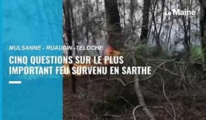 VIDÉO. Feux de forêt en Sarthe : cinq questions sur cet incendie d'ampleur 