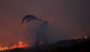 Algérie, Portugal, Russie : état des lieux des feux de forêt