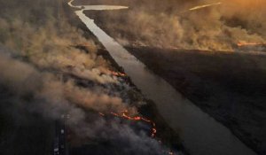 Argentine : des feux "intentionnels", accusent les écologistes, qui enfument les villes