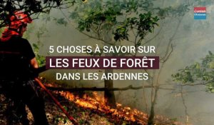 5 choses à savoir sur les feux de forêt dans les Ardennes