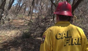 Californie: les pompiers se préparent à "une saison des incendies très intense"