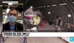 Crash du vol MH17 : les familles des victimes se préparent à la reprise du procès
