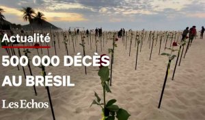 Covid-19 : au Brésil, des roses pour les 500 000 morts