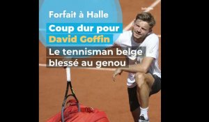 Coup dur pour David Goffin : le tennisman belge se blesse et doit abandonner à Halle