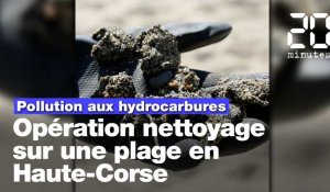 Nappes d'hydrocarbures: Opération dépollution sur une plage corse