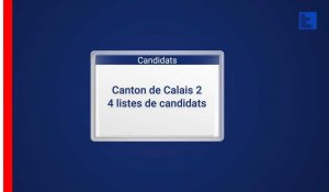 Départementales - Les candidats dans le canton de Calais 2