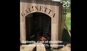 Galinetta, le poulailler autonome et connecté qui recycle les biodéchets