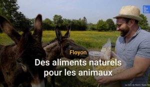 Floyon : des aliments naturels pour les animaux