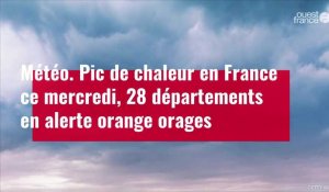 VIDÉO.  Pic de chaleur en France ce mercredi, 28 départements en alerte orange orages