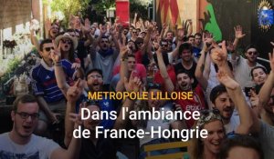 Lille et la métropole : dans l'ambiance de France-Hongrie