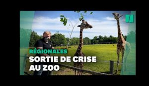 Avant les régionales, on a suivi la "sortie de crise" de Nicolas, directeur de zoo en Nouvelle-Aqui