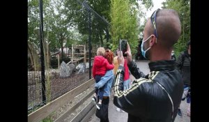 Du monde au zoo de Maubeuge