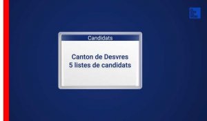 Départementales : les candidats dans le canton de Desvres