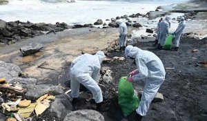 Navire en feu: le nettoyage des plages sri-lankaises se poursuit