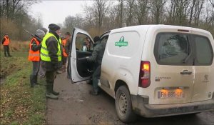 En Flandre, des chasseurs perturbent une battue de l'ONF