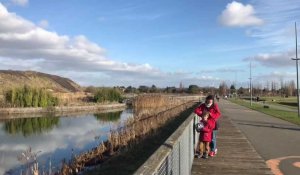 Pas-de-Calais : balade dans le parc des Îles à Drocourt