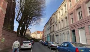 Chute d’arbre rue Saint-Gabriel à Lille