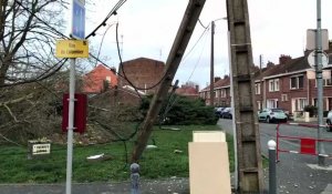 Faches-Thumesnil : un arbre tombe à cause de la tempête