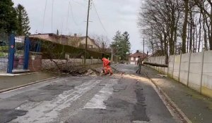 Hautmont : un arbre bloque la route suite au passage de la tempête Eunice