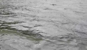 Tempête Eunice : des vagues se forment dans le marais audomarois
