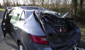 Tempête Eunice: un arbre tombe sur une voiture qui circulait à La Longueville