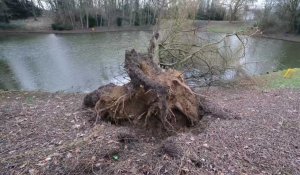 Wattrelos : les dégâts après le passage des tempêtes Eunice dans les bois des étangs de pêche